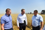 Саратовская область вышла на первое место по сбору зерна и темпам уборки в ПФО