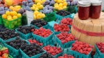 Сельхозтоваропроизводители Ртищевского района могут принять участие в ярмарочной торговле ягодной продукцией на Театральной площади г. Саратова