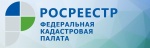 Саратовский Росреестр принял участие в обсуждении хода «лесной амнистии» в ПФО