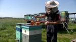 Вниманию пчеловодов!