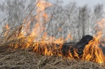 В 2023 году в связи с сухой и теплой погодой на территории Саратовской области   заметно увеличилось количество ландшафтных пожаров