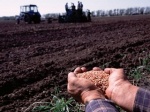 Аграрии Ртищевского района продолжают весенне-полевые работы