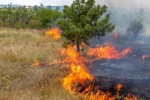 Внимание! В Саратовской области сохраняется высокая пожарная опасность. Не поджигайте сухую траву!