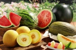 Адресные ориентиры торговых объектов по реализации бахчевых культур, овощей и фруктов