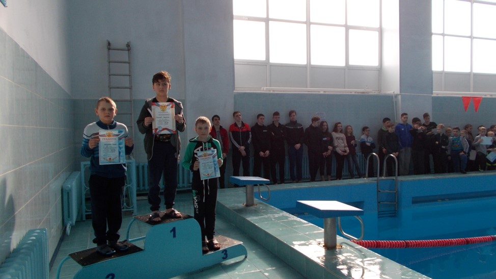 В бассейне «Дельфин» прошли соревнования по плаванию