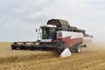 В Ртищевском районе валовый сбор зерна превысил 100 тыс.тонн 