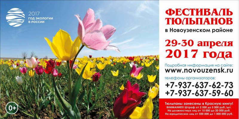 Дата II Фестиваля тюльпанов перенесена на 29-30 апреля
