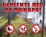 Полиция напоминает об ответственности за нарушение правил пожарной безопасности в лесах