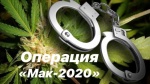  С 10 августа на территории Ртищевского района стартует комплексная оперативно- профилактическая операция «Мак-2020»