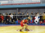 В Балашове прошёл турнир по борьбе самбо среди юношей 2006-2007 г.г.р. 