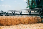 Продолжается уборка зерновых и зернобобовых культур
