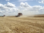 В районе идет к завершению уборка яровых зерновых и зернобобовых культур 