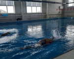 Прошли соревнования по плаванию среди городских школ