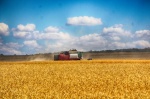 В Саратовской области на 84% выросла урожайность зерна